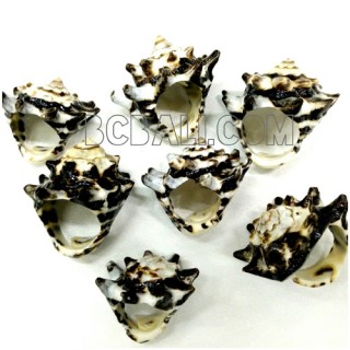 organic shells rings tribe handmade