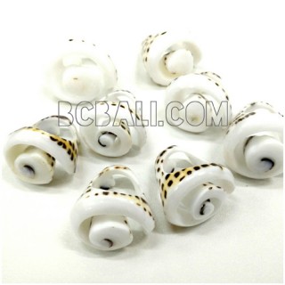 tiger shells organic rings ethnic