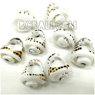 tiger shells organic rings ethnic