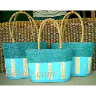 Leadies Beach Bags