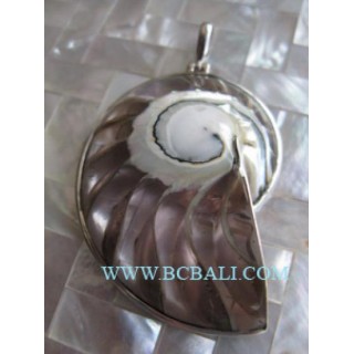 Natural Nautilus Shell Pendants