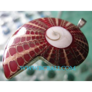 Shiva Eye Shell  Silver Pendant