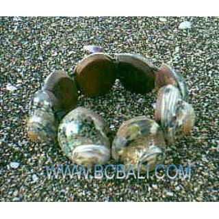 Dead Sea Shell Bracelets