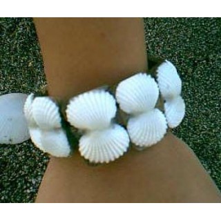 Gelang Dari Kerang Bali