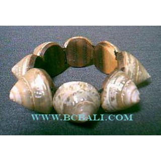 Jewelry Shells Bracelets