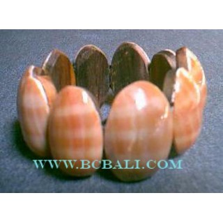 Natural Sea Shell Bali