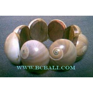 Natural Shells Bracelets