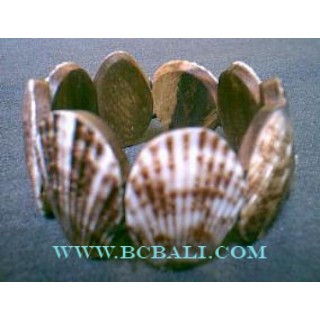 Sea Shell Bracelets From Bali