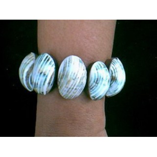 Sea Shell Dyed Bracelets