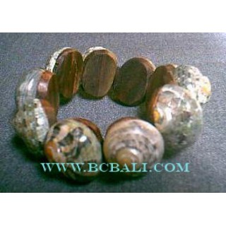 Under Sea Shells Bracelets