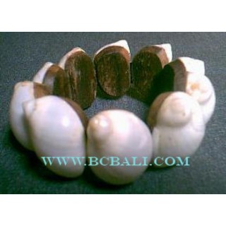 White Sea Shell Natural Bracelets