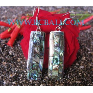 Design Steel Paua Shell Earring