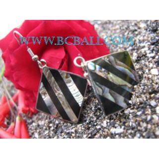 Shell Steel Square Earring Fashion