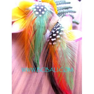 Birds Feather Earrings Unique Design