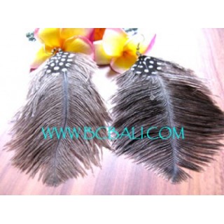 Earrings Feather Unique Design