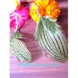 New Design Feather Earrings