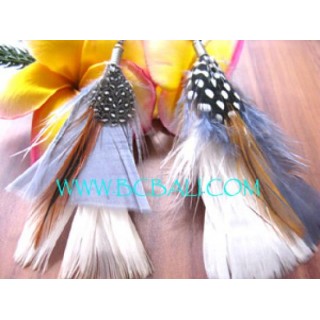 New Feather Earrings