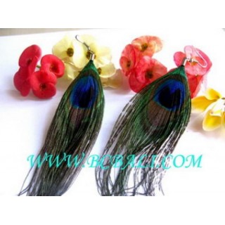 Peacock Feather Earrings