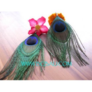 Peacock Feather Earrings New