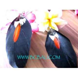 Women Earring By Feather