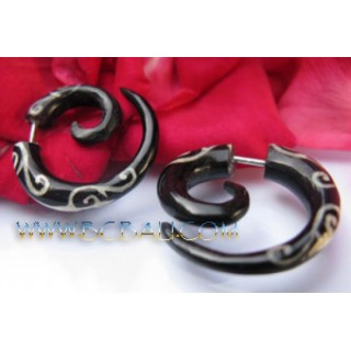 Horn Earring Ethnic Hooks